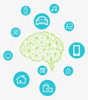 The Solution - Cognition