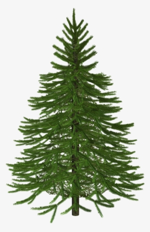 Christmas Wreath, Christmas Tree - Christmas Tree