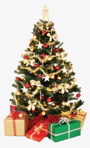 Christmas Tree Png Download Image1 - Christmas Tree Png