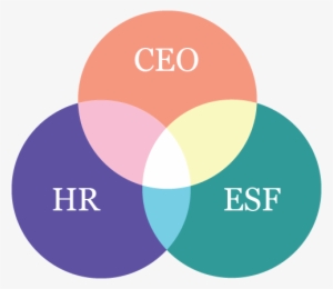Venn Diagram Graphic - Cheese