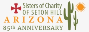 The Sisters Of Charity Of Seton Hill In The American - Sisters Of Charity Of Seton Hill
