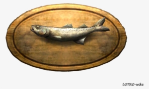 Great Golden Mullet Trophy - Golden Grey Mullet
