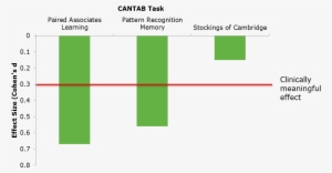 The Tests In This Battery Have Shown Episodic Memory - Graphics