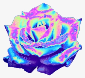 Top 10 Holographic Flowers - Rose