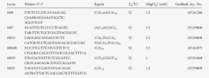 Amplication Conditions Of Six Microsatellite Loci In - Parameter