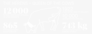 The Hérens Queen Of The Cows - Hérens Cattle