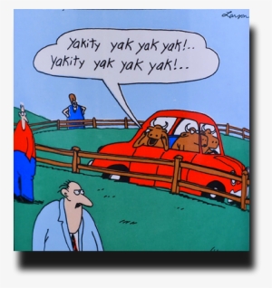Http - //www - Actuallymummy - Co - Uk/wp Co Side Cows - Gary Larson Cows Car