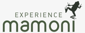 Experience Mamoni - Graphic Design
