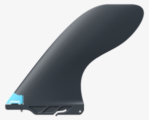 Standup Paddleboarding