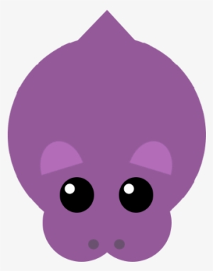 Hippo - Hippopotamus