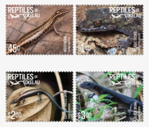 The Cancellation Stamp Shows A Reptile In The Centre - Alligator Lizard