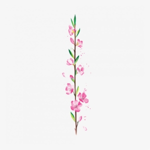 Twig Of Cherry Tree - Rosa Glauca