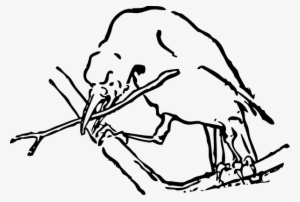 Bird With Twig Svg Clip Arts 600 X 405 Px