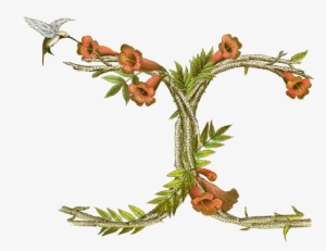 Entiwned Cs Monogram - Monogram