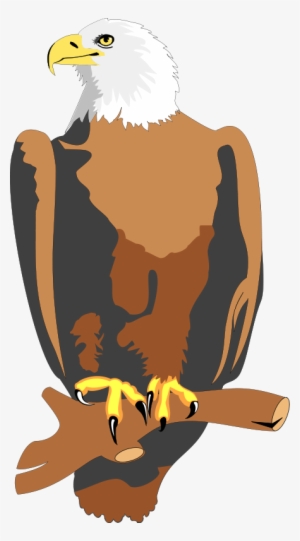 Bird 28 Free Vector - Animated Eagle