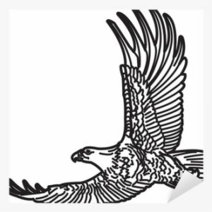 Illustration Of American Bald Eagle In Flight - Bald Eagle