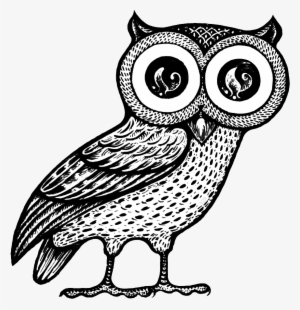 Jpg Free Library Conventional Wisdom Enlightened Interaction - Owl Of Athena Png