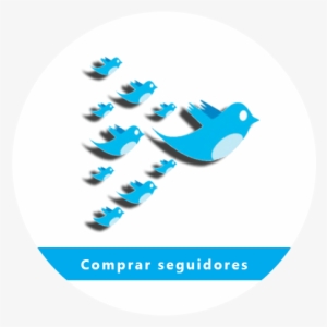 Comprar Seguidores O Followers Reales De Twitter - Twitter Bird