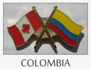 Friendship Flag Pins - Insomnia: A Guide To Insomnia And Relief