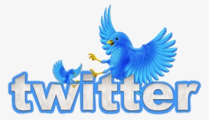 Animated Twitter Bird