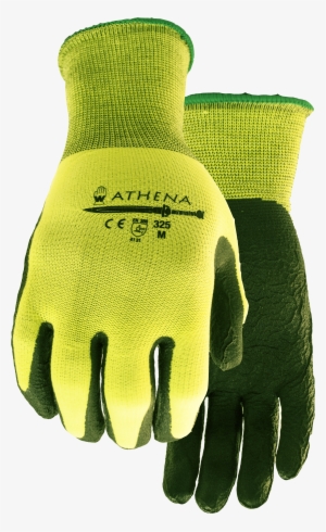 Download Product Photo