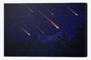Night Sky With A Meteor Shower Canvas Print • Pixers® - Star