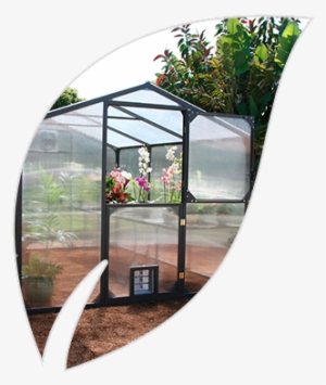 Luscious Plants In The Comfort Of Their Home, And We'd - Santa Barbara