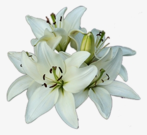 Funeral Png - Christ Is Risen Magnet