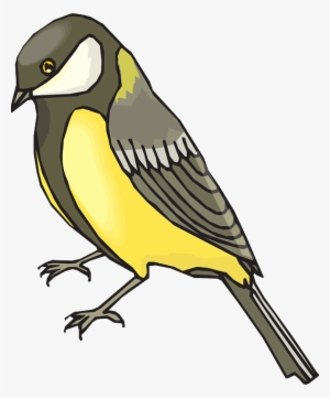 Feathers View, Bird, Wings, Side, Animal, Goldfinch, - Goldfinch Clipart