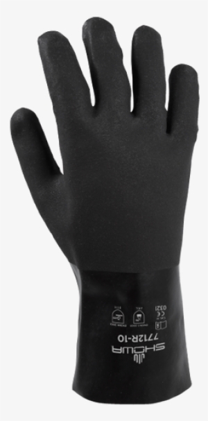 Glove