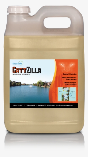 Cattail-management - Management