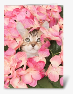 Kitten Peeking From Pink Blossoms Greeting Card - Ravensburger Kitten Challenge 1000 Piece Puzzle