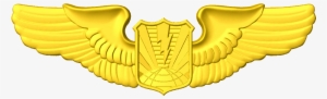 Two More Usaf Models Are Up, Rpa Pilot And Air Battle - Emblem