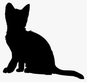 Download Png - Cat