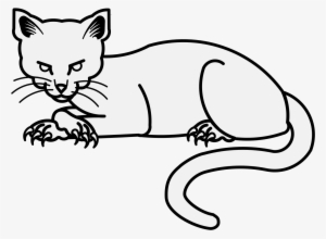 Details, Png - Kitten