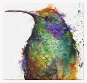 Pinturas De Colibries En Acuarela