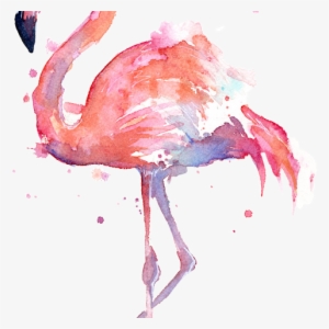 Flamingo Watercolor Painting Hd