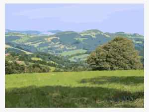 Rural Area Landscape Vegetation Natural Resource Natural - Nature