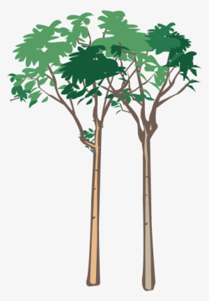 Vegetation - Modern Green Tree 29 Shower Curtain