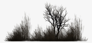 Photo Winter Vegetation 5 By Wolverine041269-d5yfu4w - Black Vegetation Png