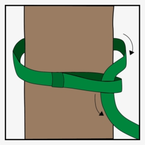 Begin By Wrapping The Strap Around The Tree And Insert - Strap