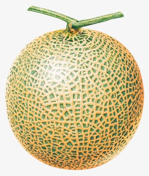 Melon Png