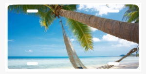 Caribbean Hammock - Einsame Insel Mit Hängematte