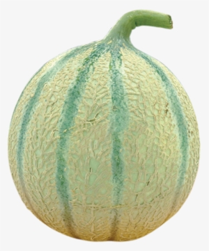 Melon Charentais - Melon Png