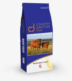 32-0 Beef Supplement Or - Dietary Supplement