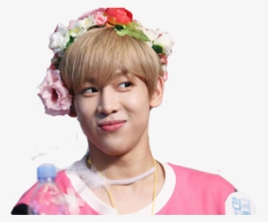 Got7, Png, And Bambam Image - Got7 Flower Crowns
