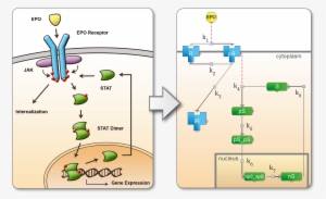 47, 3 April 2011 - Stat Jak