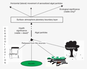 Aeroalgal Pathway - - Diagram