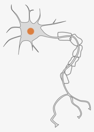 This Free Icons Png Design Of Simple Neuron
