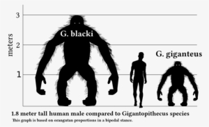 Prehistoric King Kong - Biggest Ape To Ever Live
